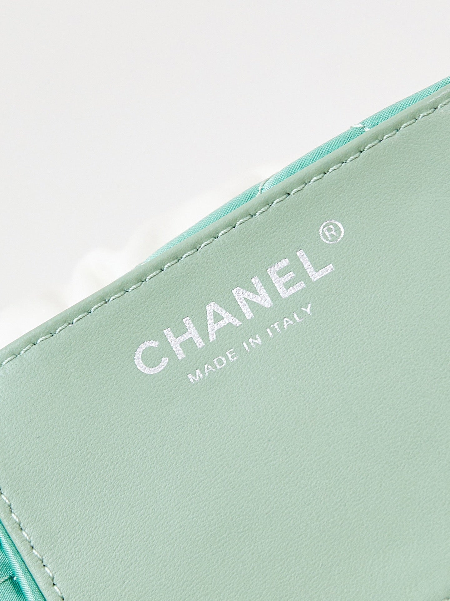 CC MINI 20 HOBO BAG IN WHITE MIX LIGHT GREEN CALFSKIN
